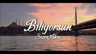 Sezen Aksu - Biliyorsun (Lyric Video)