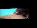 A Bug S Life There Here