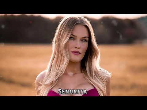 B-Genius ft. Edita Sopjani & OverLord - Seniorita
