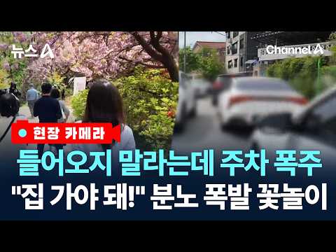 [현장 카메라]꽃놀이 휩쓸고 가자…무너진 일상 / 채널A / 뉴스A