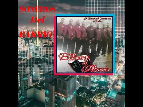 FLOR DE VERANO / Soneros del Barrio / Roy Diaz / fusión romántica de ritmos tropicales