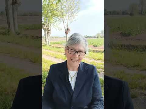 Eschilo, I Persiani.