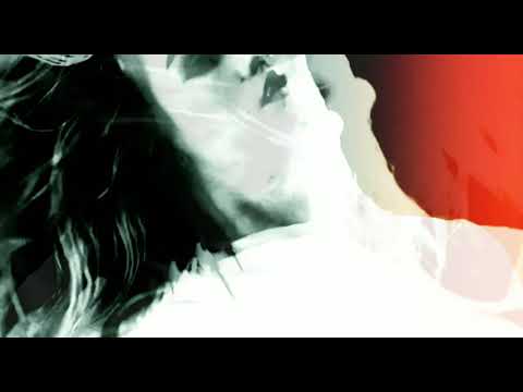 Stephen Disario & Danny Wabbit - Pulse ( Original Mix )