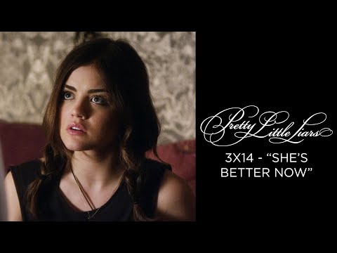 Pretty Little Liars - Byron Accuses Aria & The Liars Of Hurting Meredith - "She's Better Now" (3x14)