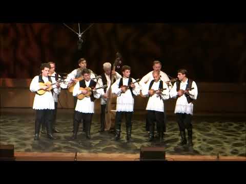 "Drumarac" i "Tucin spletokol" - Tamburaši FA HKUD-a Željezničar Zagreb