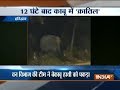 Elephant captured by the forest officials in Haridwar