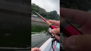 チヌトップ #fishing #釣り