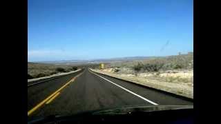 Big Bend Nat'l I MUST BE A TREE Gene Parsons