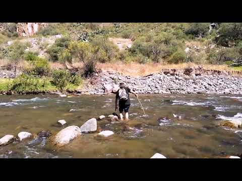 Alex Cáceres y Carlos Linares - Adiós Vidita - Huayno.
