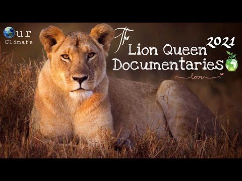 [Lion Pride 2022] Malika : The Lion Queen Documentary 2022[English subtitles] - Nat Geo wild.