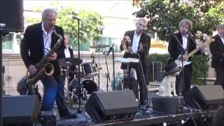 The Tokens - Medley of Hits