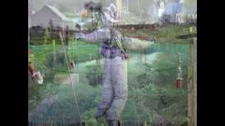 Surgeon - At The Heart Of It All - Force + Form