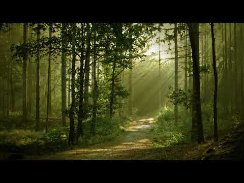 De su - Cień zielony