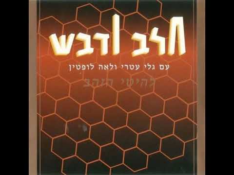 הללויה - גלי עטרי וחלב ודבש