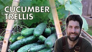 Use This Cucumber Trellis for a HUGE Harvest!