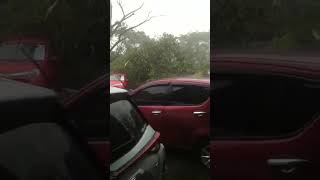 Download lagu Sidoarjo hujan angin puting beliung #shortvideo #short #sidoarjo mp3