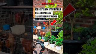 Download lagu Home-Based Egg-Laying Chicken Farmer ☝❗❗#shorts #videoshort #viralvideo mp3