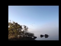 Images of  by Semerwater by Dave Smith at Artminister