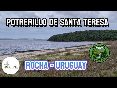 El Potrerillo de Santa Teresa - como ir y su importancia como área protegida 