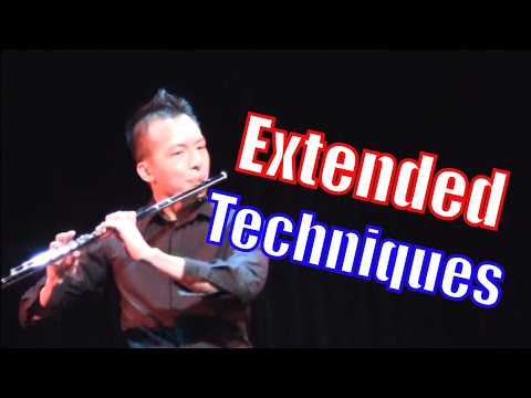 Contemporary Flute Techniques - A Guide for Composers (Part II)