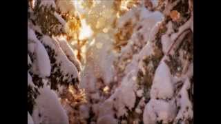 Tyler Straub - Favorite Time of the Year (Vince Guaraldi Trio)