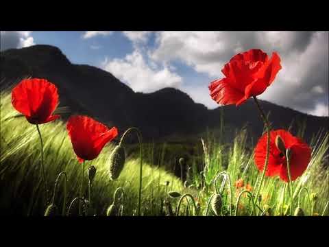 Paul Constantinescu (1909-1963): Concerto for string orchestra (1955), conducted by Ludovic Bács