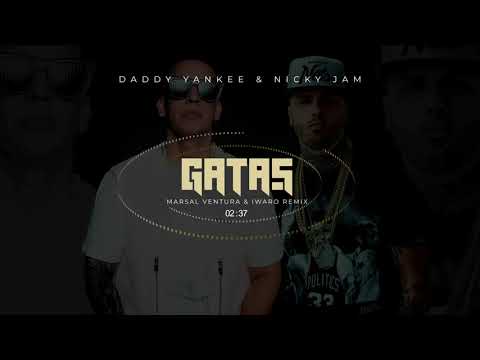 Daddy Yankee &  Nicky Jam - Las Gatas ( Marsal Ventura & Iwaro Remix )