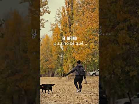 Postales que nos dejó este otoño en nuestro paso por Villa de Soto, Córdoba #vivirviajando