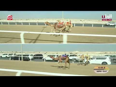  ش 7 (شناح) لـ ناصر عبدالله أحمد المسند 12:16:26 ,مهرجان الأمير الوالد 2026/2/11 حول زمول الشحانية 