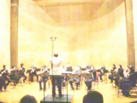 Locusts for 24 Concert Flutes