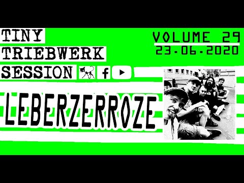 TINY TRIEBWERK SESSION VOL. 29 – Leberzerroze