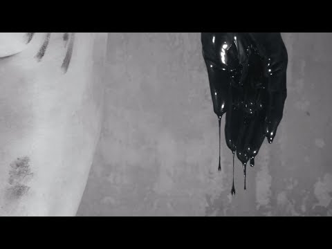 download lagu mp3 mp4 False Light, download lagu False Light gratis, unduh video klip False Light