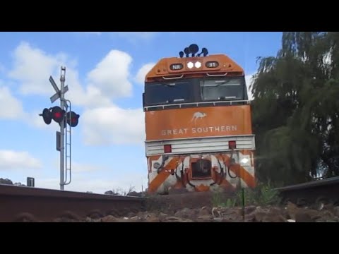 Great Southern NR31 runs over camera