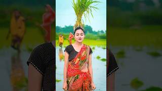 bahen ne bhai ko fasa diya🤭 #aadikajju #rakshabandhan #viralshorts @kingactor1