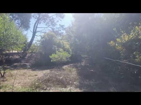 Venta de terreno con cabaña de madera en Santa Ana, Canelones.