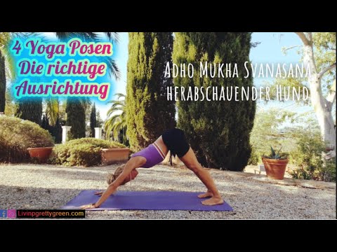 Berghaltung,Krieger 2,schiefe Ebene & downdog ♡ richtige Ausrichtung! Yoga mit Rebecca Victoria Auer