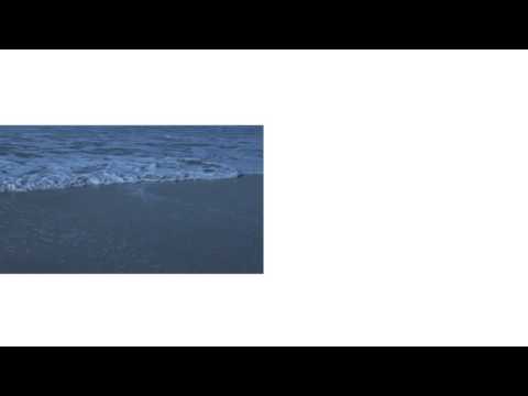 JOÃO TAMURA & HOLLY _ SALTO