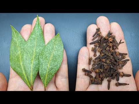 Mischen Sie Lorbeerblatt und Gewürznelke und und Sie werden mir für dieses Rezept danken!