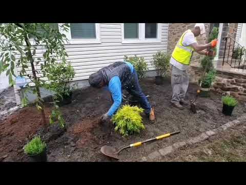 Backyard Patio Design and Vinyl Fence Installation