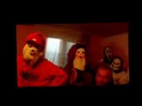 Hazii din Chintelnic