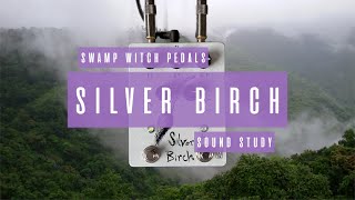 Video thumbnail for Sound Study // Swamp Witch Pedals - Silver Birch by collector//emitter