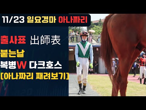 11/23 일요-윤택-경마 아나짜리 비장한 출사표 (出師表)