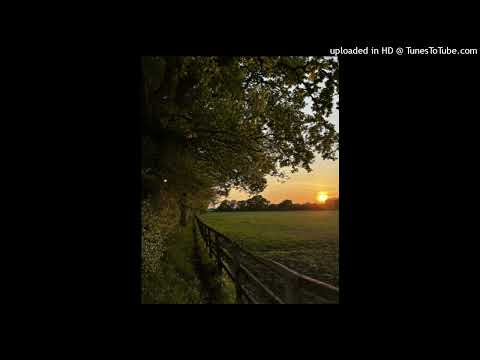 lil tony x hariroc x duvy type beat