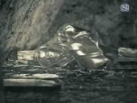 gackt - tsuki no uta pv