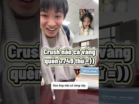 Khi quen phải người hệ vô tri não cá vàng