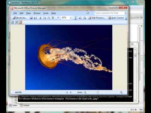Image Processing With Java 5 Canvas
