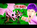 WE SAVED The DEER In 99 Nights In The Forest The DEER Is HURT