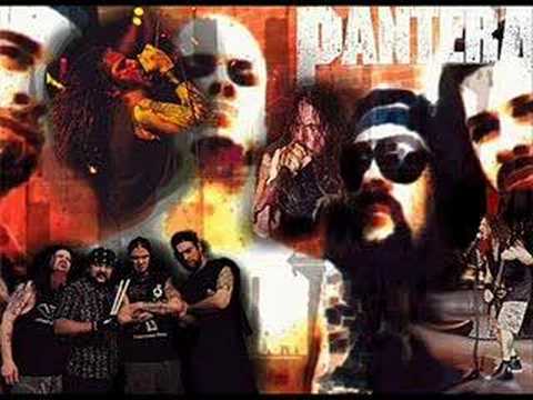 Pantera- Cold Gin