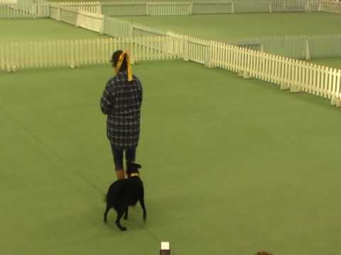 Ngaire dancing with Sweeny