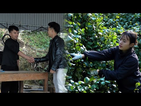 Herr Tuan beauftragte Hung mit der Leitung der Holzverarbeitungsfabrik, während Uyen versuchte, be